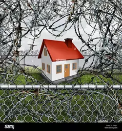 1748936492273.webp