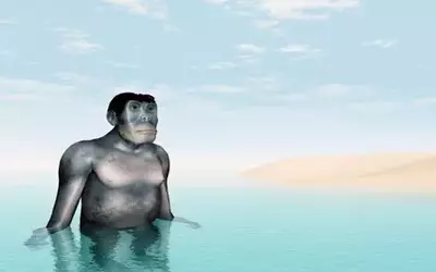 1748965303508.webp
