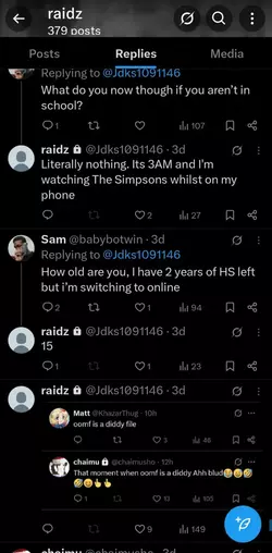Screenshot_20250411_190919_X.webp