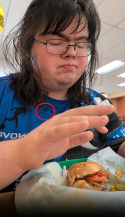nova-greasy-hair-food-review.webp