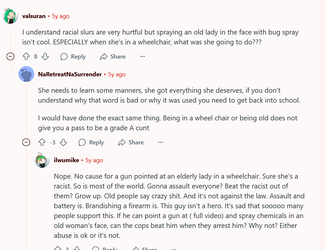 Screenshot 2025-06-03 at 13-42-09 Elderly woman in wheelchair screaming racial slurs takes bu...webp