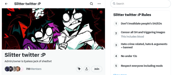 Screenshot 2025-06-04 at 13-07-27 Slitter twitter P Community _ X.webp