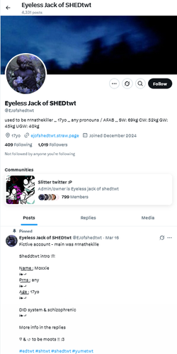 Screenshot 2025-06-04 at 12-59-37 Eyeless Jack of SHEDtwt (@EJofshedtwt) _ X.webp