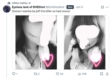 Screenshot 2025-06-04 at 12-39-08 Posts with replies by Eyeless Jack of SHEDtwt (@EJofshedtwt...webp
