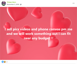 tristan kern any budget.webp