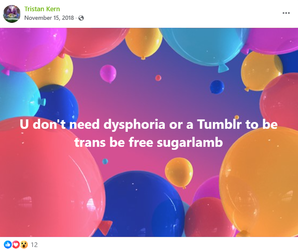 tristan kern dont need dysphoria.webp