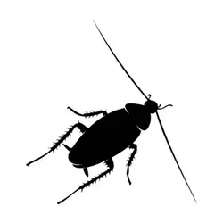 1749115925976.webp