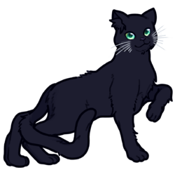 Alisa's Russian Black.webp
