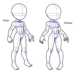Body sheet.webp