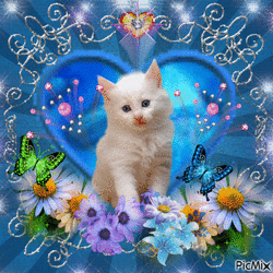 1000028134.gif