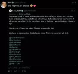 brave_screenshot_nitter.poast.org (93).webp