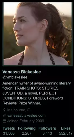 brave_screenshot_nitter.poast.org (95).webp