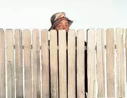 wilson.webp