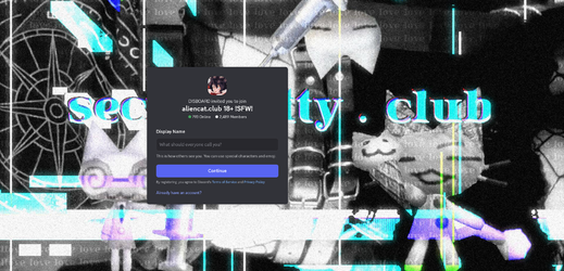 43233423.webp