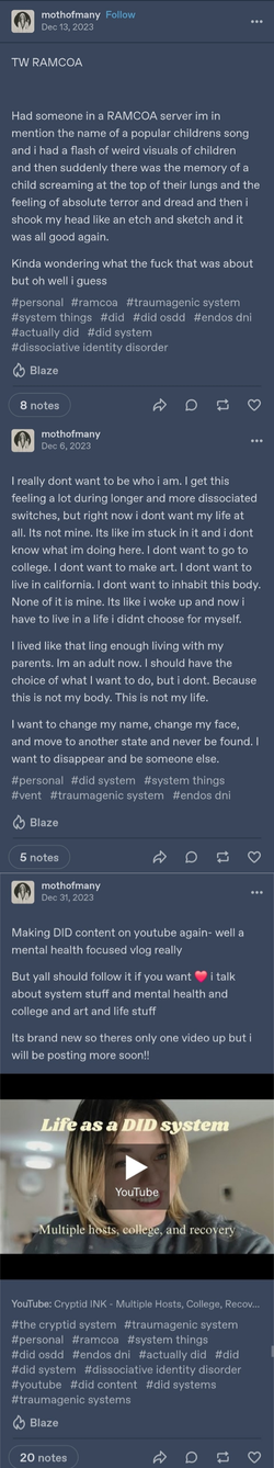 6-Chrslyn2023DIDCRINGE.webp
