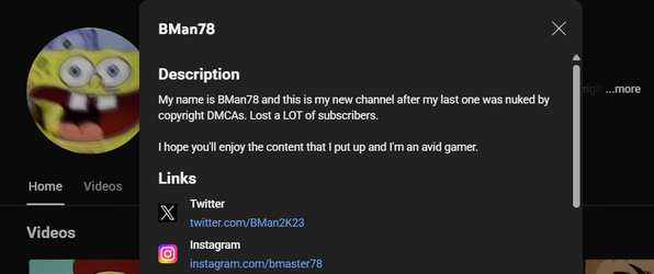 youtube bio.webp