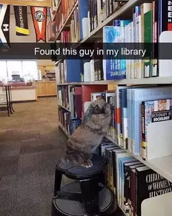 1749253679016.webp