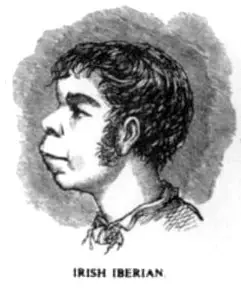 Scientific_racism_irish.webp