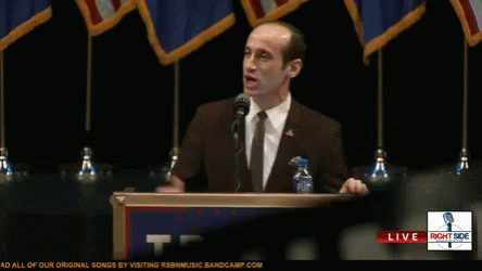stephen-miller.gif
