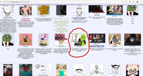 1749275229772.webp