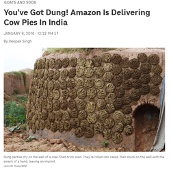 Screenshot 2025-06-07 at 22-10-52 Amazon In India Is Now Delivering Cow Dung Patties For Ritu...webp