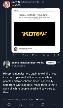Narwitz Sock Self Insults 3.webp