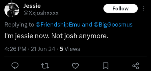 Josh is Jessie Now.webp