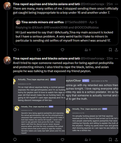 Tina Fake Screenshot Tweet.webp