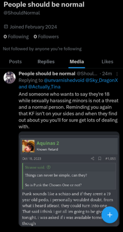 Nik Aquinas Twitter Repost Example.webp