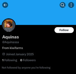Aquinas Twitter Sock.webp