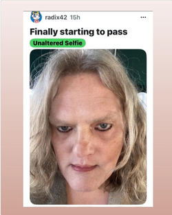 brains.webp