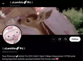 1749386879049.webp