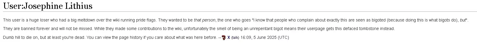 1749400722218.webp