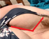 hunchbobsquaretits.webp