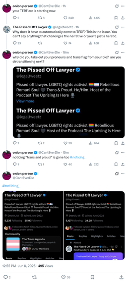 screencapture-x-CantEverDie-status-1931772028086006103-2025-06-08-13_08_58.webp