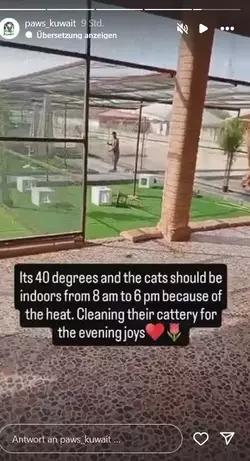 paws cattery.webp