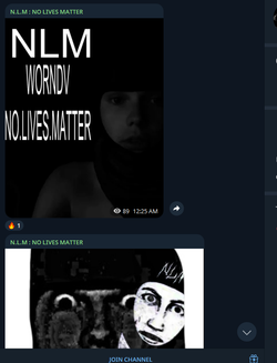 NLM sc 3.webp