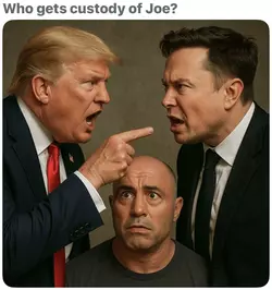 1749161287379621.webp