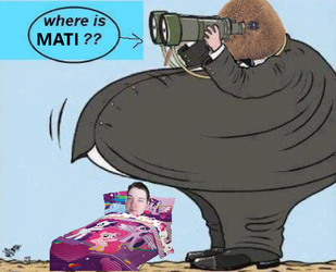 where mati.webp