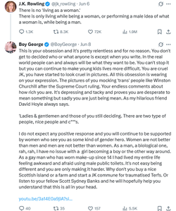 Screenshot 2025-06-09 at 13-57-12 (1) Posts with replies by Boy George (@BoyGeorge) _ X.webp