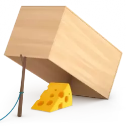 1749503480725.webp