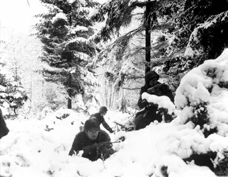 American_290th_Infantry_Regiment_infantrymen_fighting_in_snow_during_the_Battle_of_the_Bulge.webp