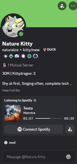 naturkitty.webp