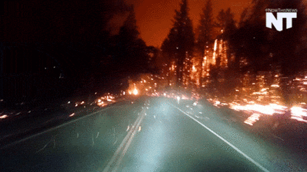 1749539162620.gif