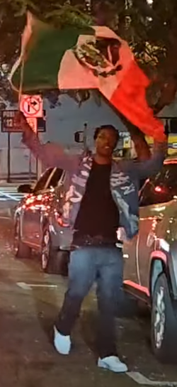 Mexican Patriot.webp