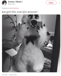 ghostsuit.png