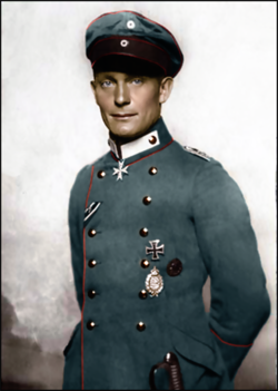 hermann-goering.png!Large-3947852869.webp
