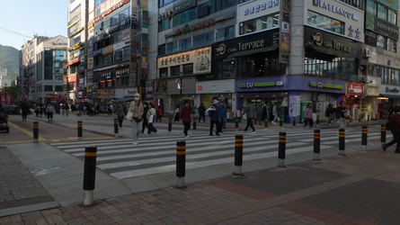 videoframe_634319.webp