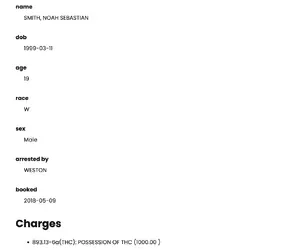 wr_15.webp