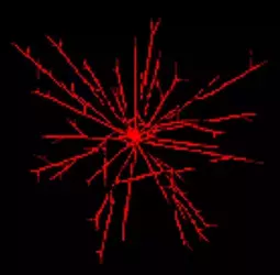 1749618636126.webp